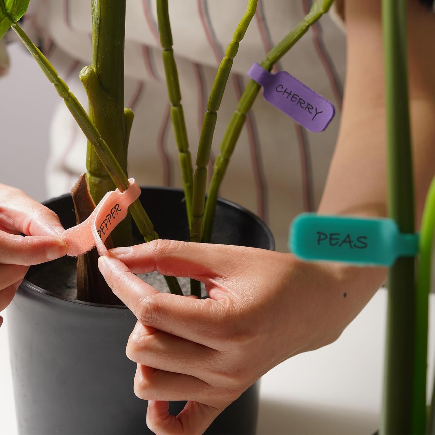 71xGWsVUbSL._AC_SL1500_